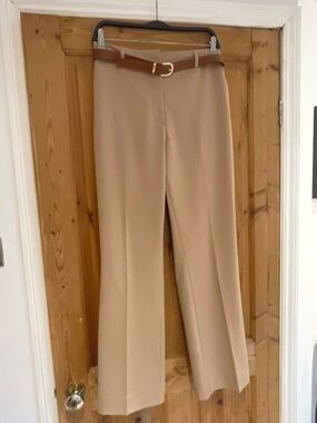 Zara Wide-Leg Trousers in Camel